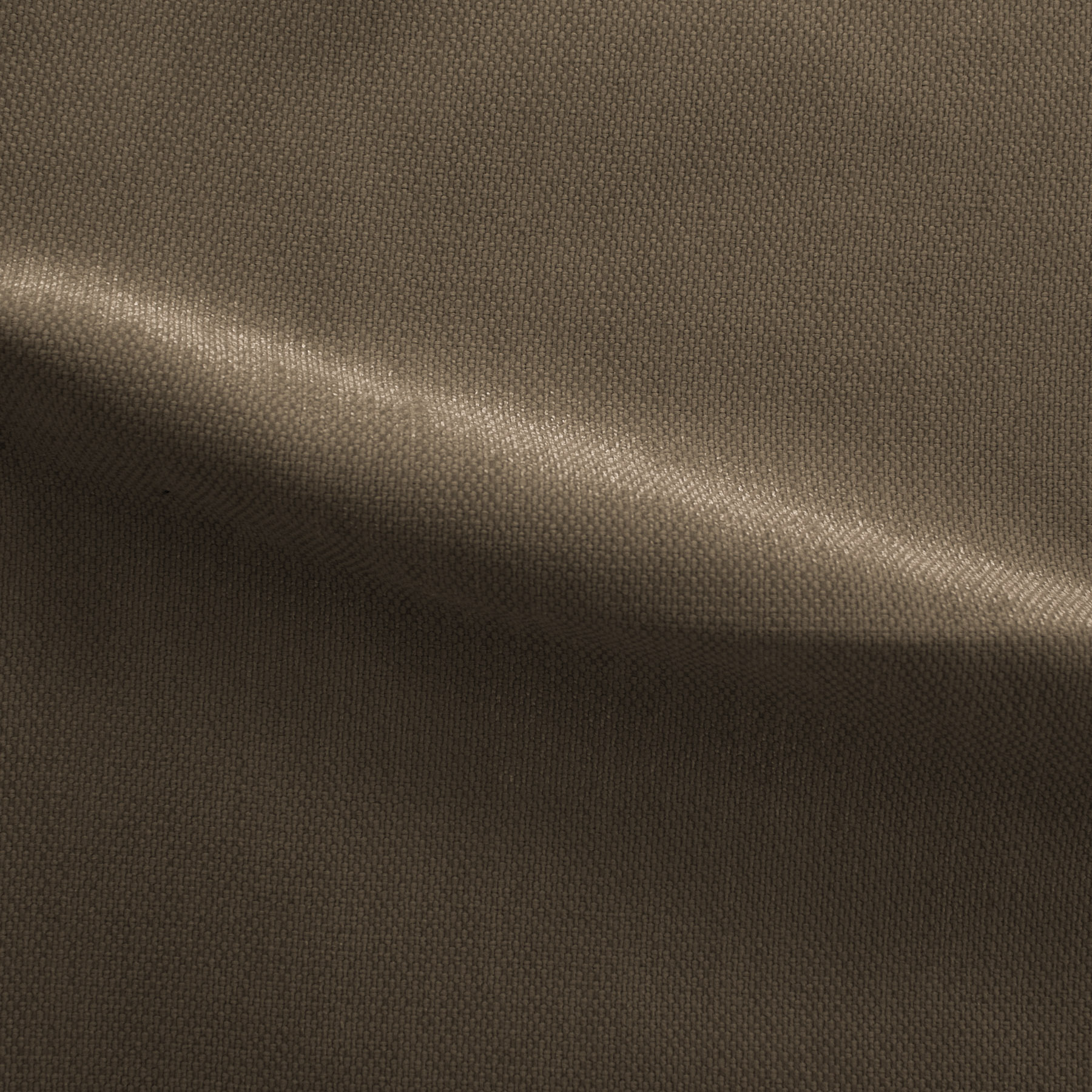 Mascotte-Mustard-222411